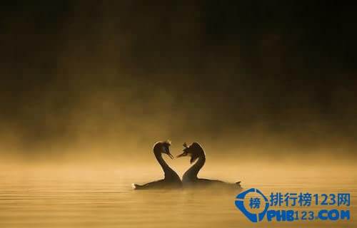 中国古代十大最美的情诗
